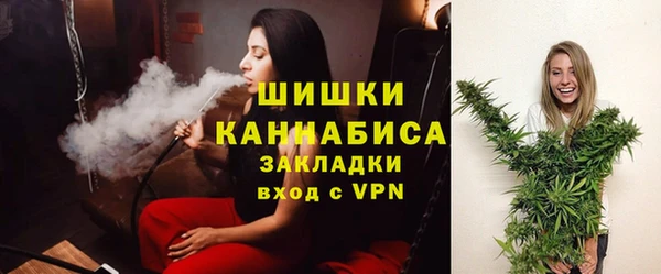 крисы Коряжма