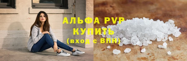 крисы Коряжма