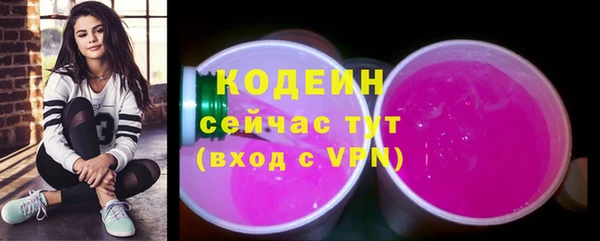 крисы Коряжма