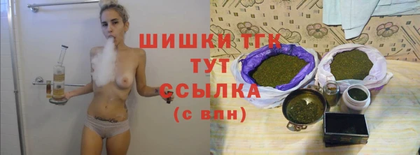 крисы Коряжма