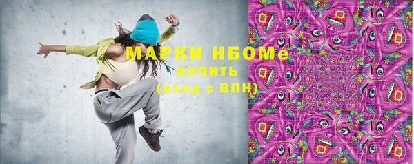 крисы Коряжма