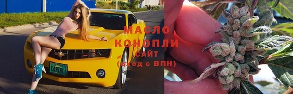 крисы Коряжма