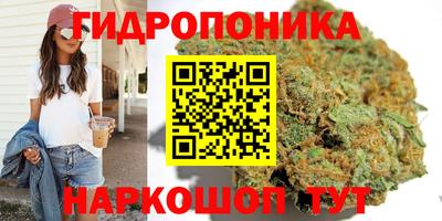 хмурый Аргун