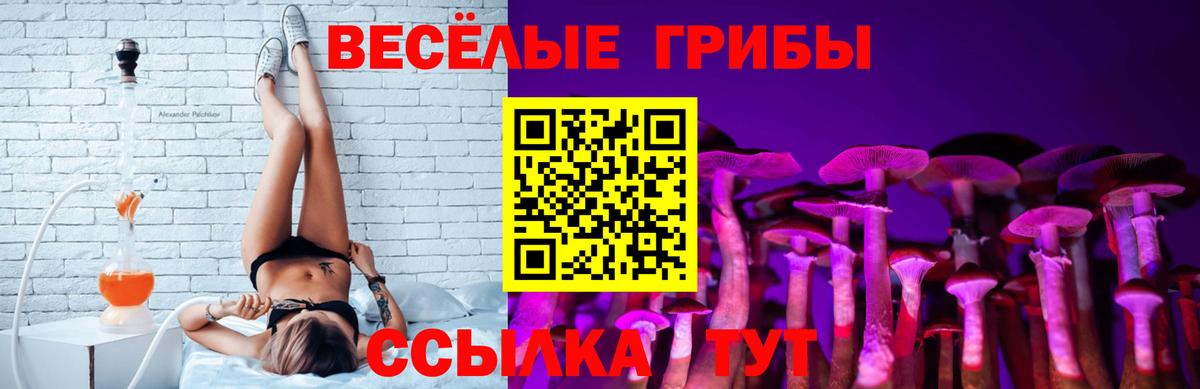 Псилоцибиновые грибы Magic Shrooms  Вход с VPN  Архангельск  закладка  Галлюциногенные грибы ЛСД 