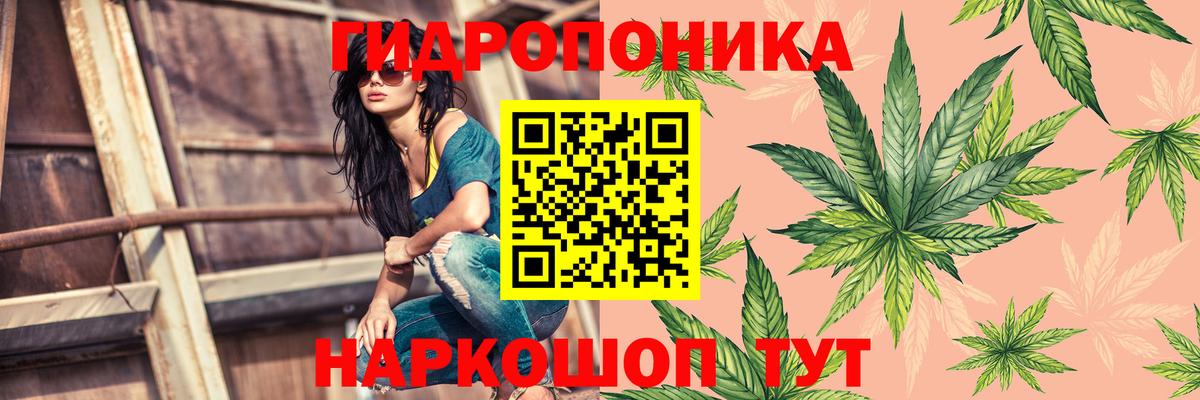 Шишки марихуана индика Архангельск